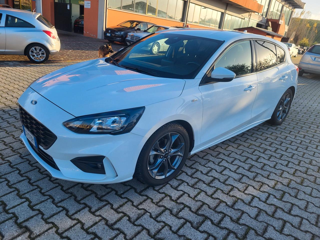 Ford Focus 1.5 EcoBlue 120 CV 5p. ST-Line