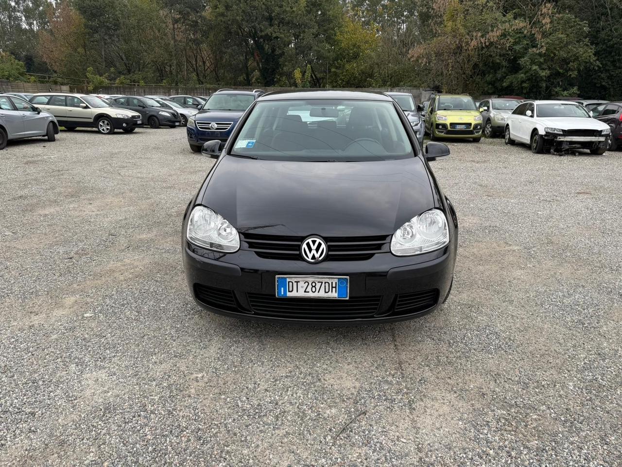 Volkswagen Golf 1.6 5p. Comfortline