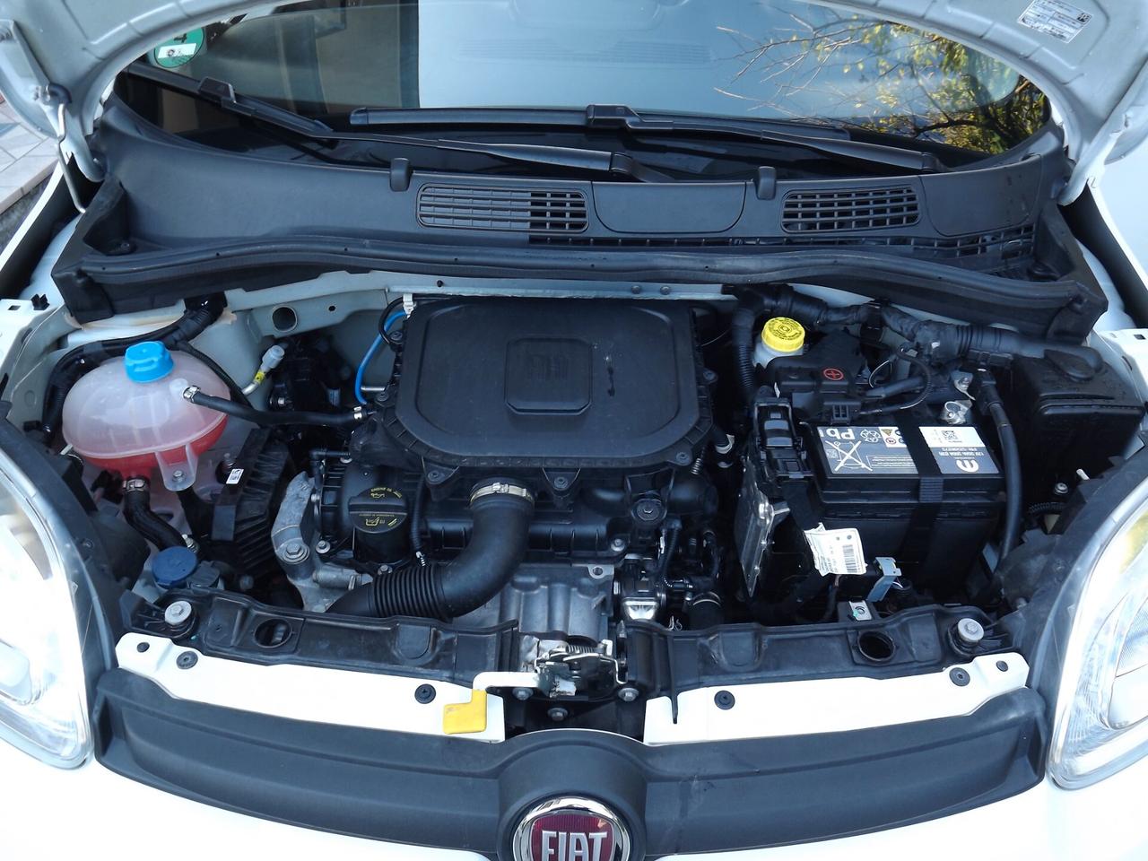 Fiat Panda 1.0 FireFly S&S Hybrid City Cross