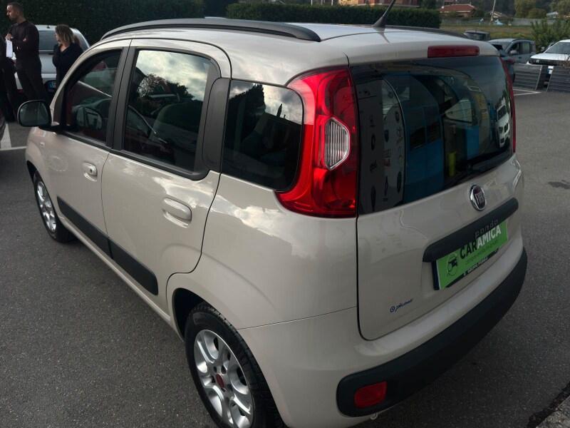 FIAT Panda 3ª serie Panda 1.2 Lounge