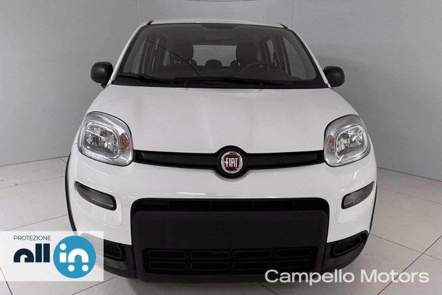 FIAT Panda Panda 1.0 70cv Hybrid Panda My23