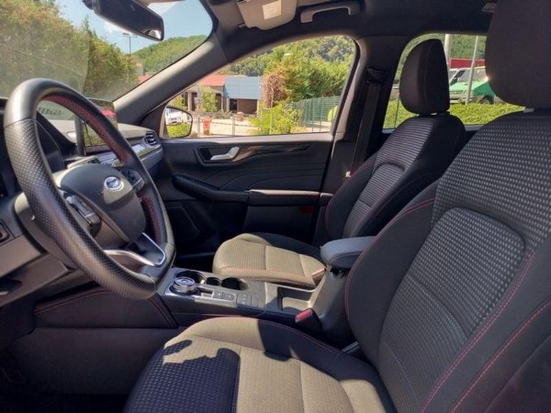 Ford Kuga Kuga 1.5 EcoBlue 120 CV 2WD ST-Line