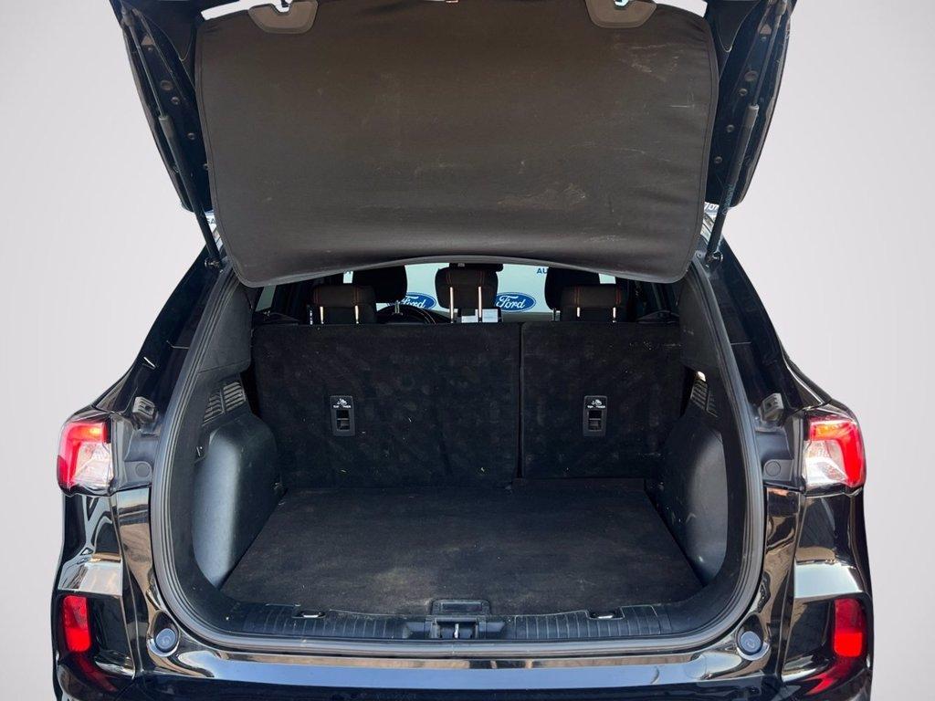 FORD Kuga 2.0 EcoBlue 120 CV aut. 2WD ST-Line del 2023