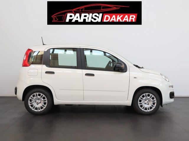 FIAT Panda 1.0 FireFly S&S Hybrid *PROMO PARISI GROUP*