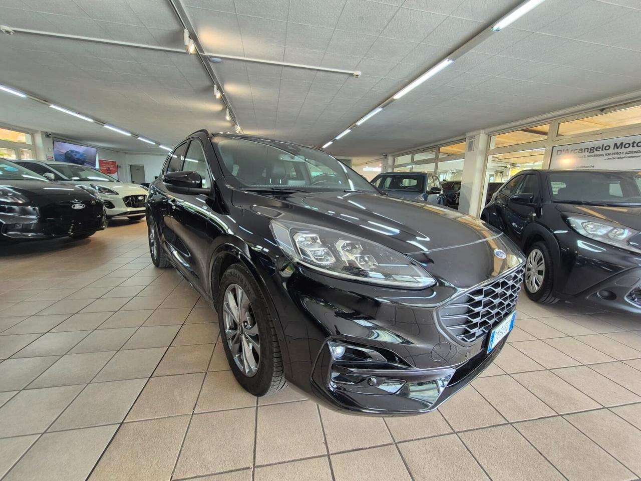Ford Kuga 2.0 EcoBlue 120 CV aut. 2WD ST-Line X