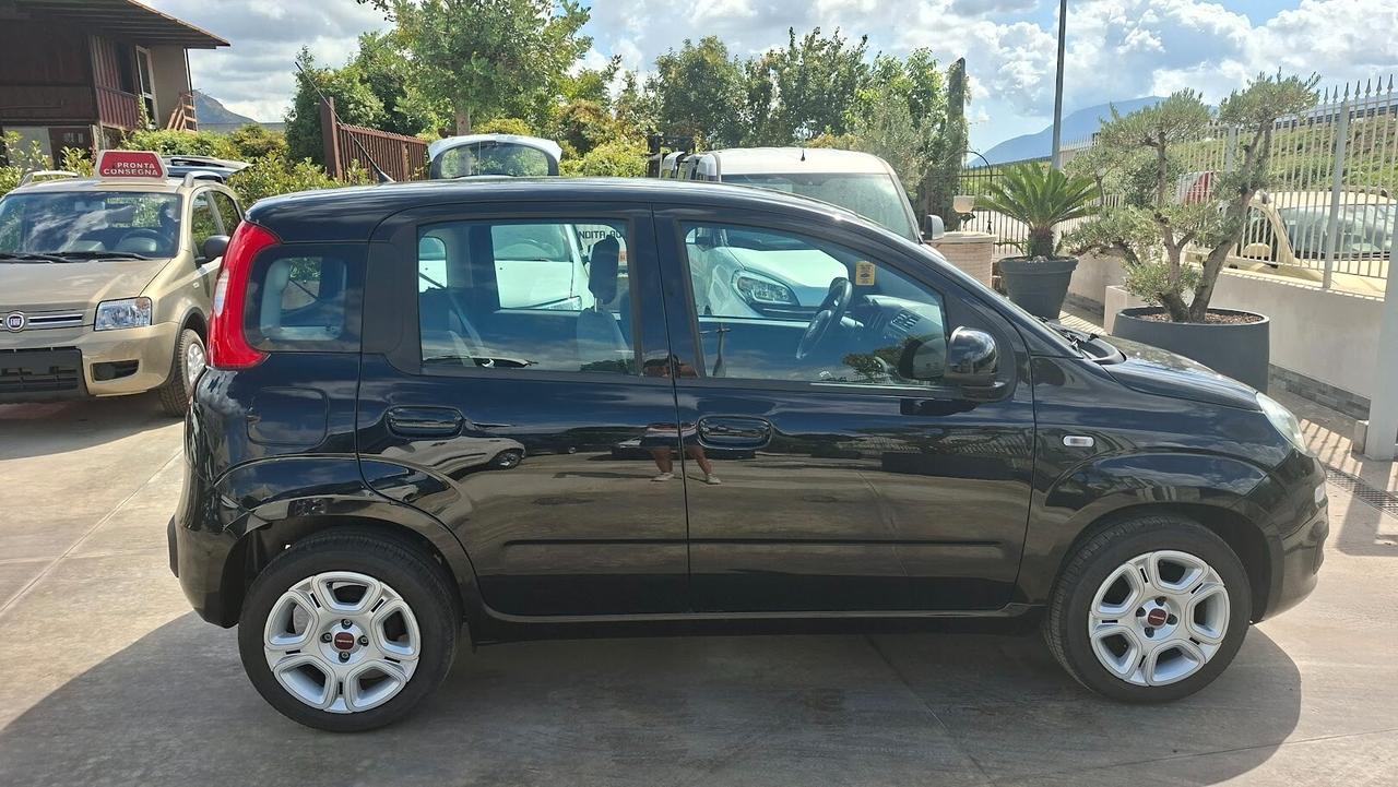 Fiat Panda 1.2 BENZINA 2019