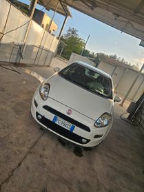 Fiat Punto 1.3 MJT 75CV 3 porte Van Easy 4 posti E5+