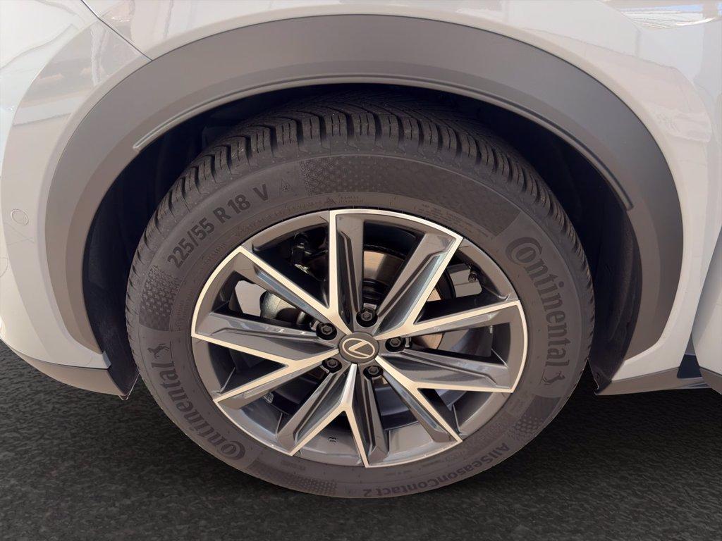 LEXUS LBX 1.5 hybrid Cool 4wd del 2025