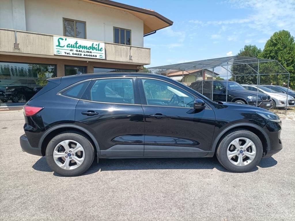 Ford Kuga 1.5 EcoBlue 120 CV aut. 2WD Connect