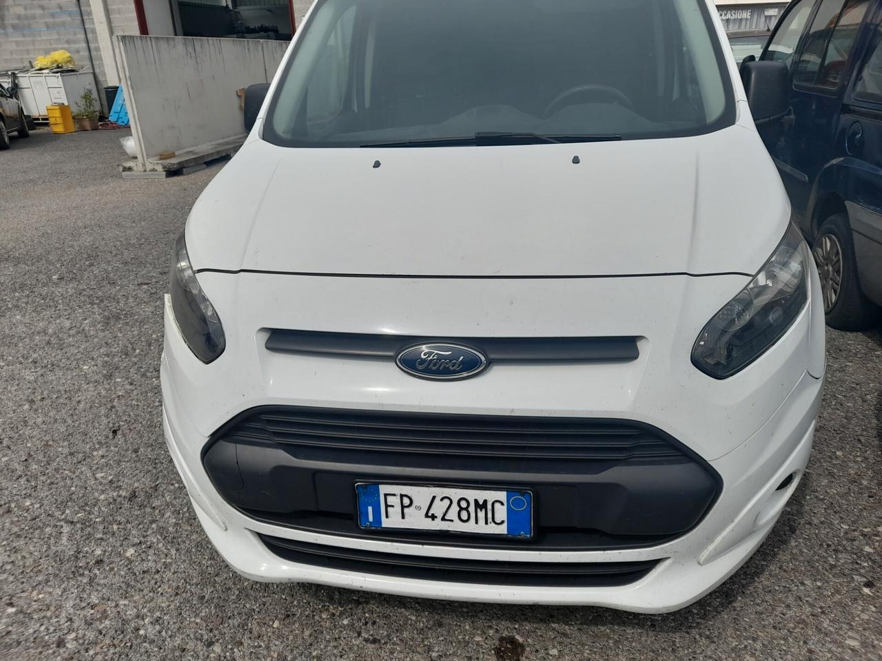 Ford transit cinghia rotta