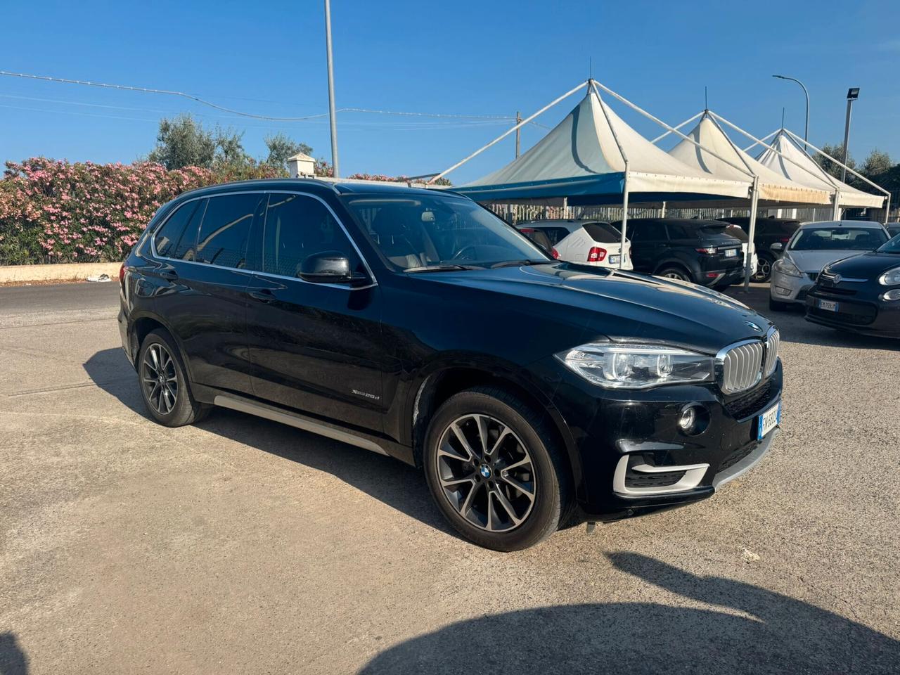 Bmw X5 xDrive25d Luxury