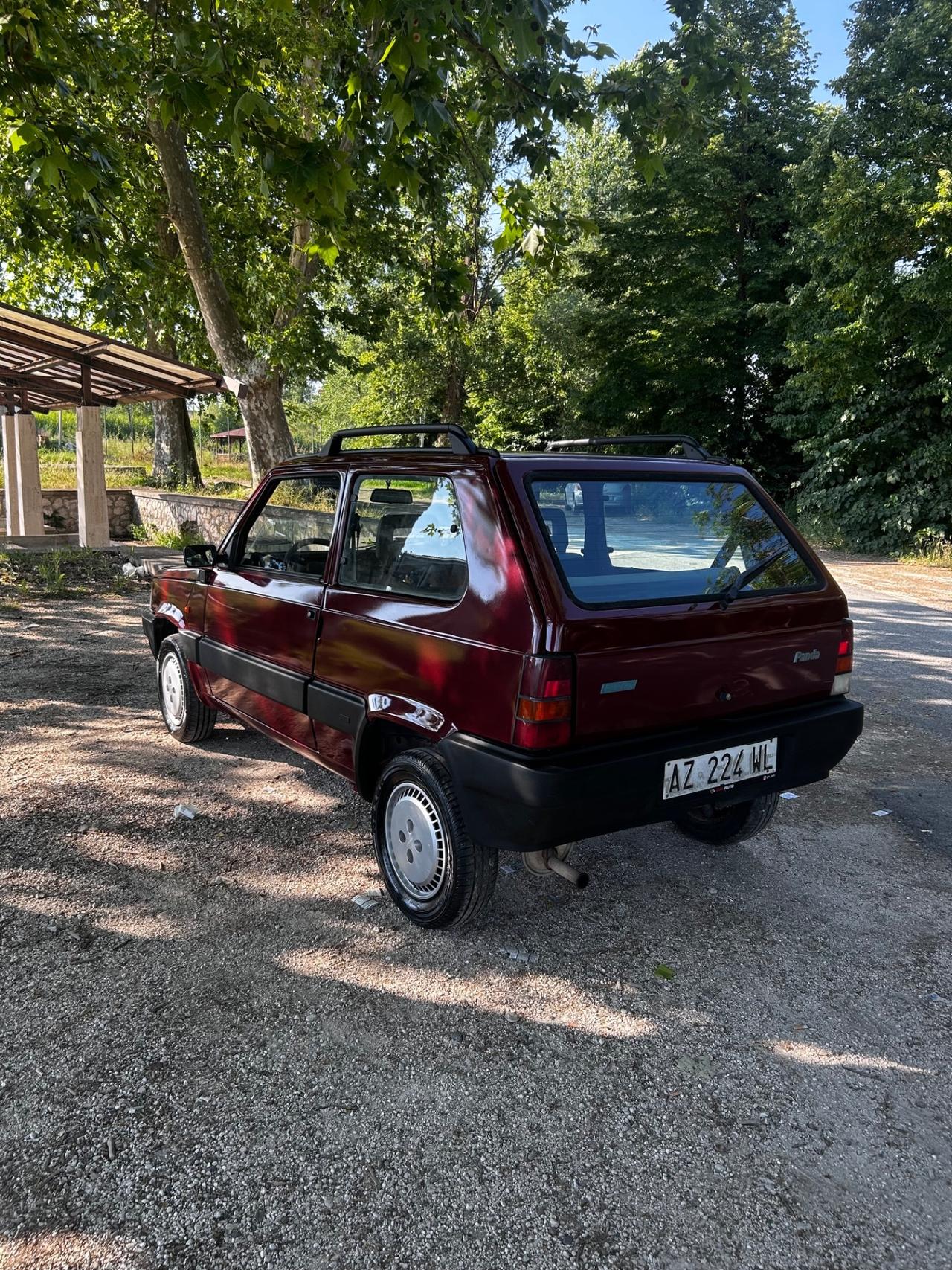 Fiat Panda 1100 i.e. cat Young