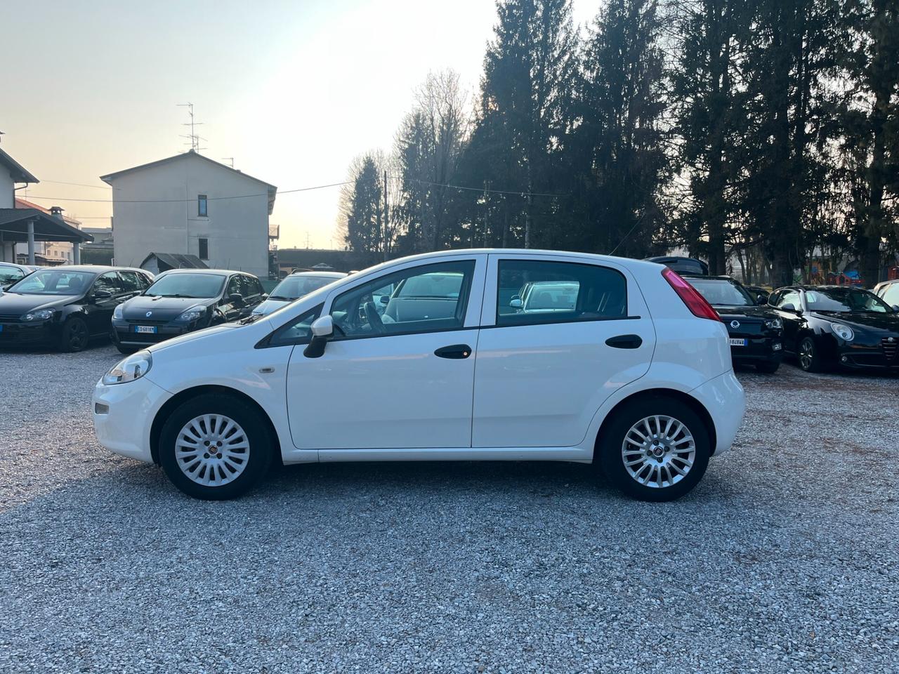 Fiat Punto 1.3 MJT 95CV S&S 5 porte N1 4 POSTI