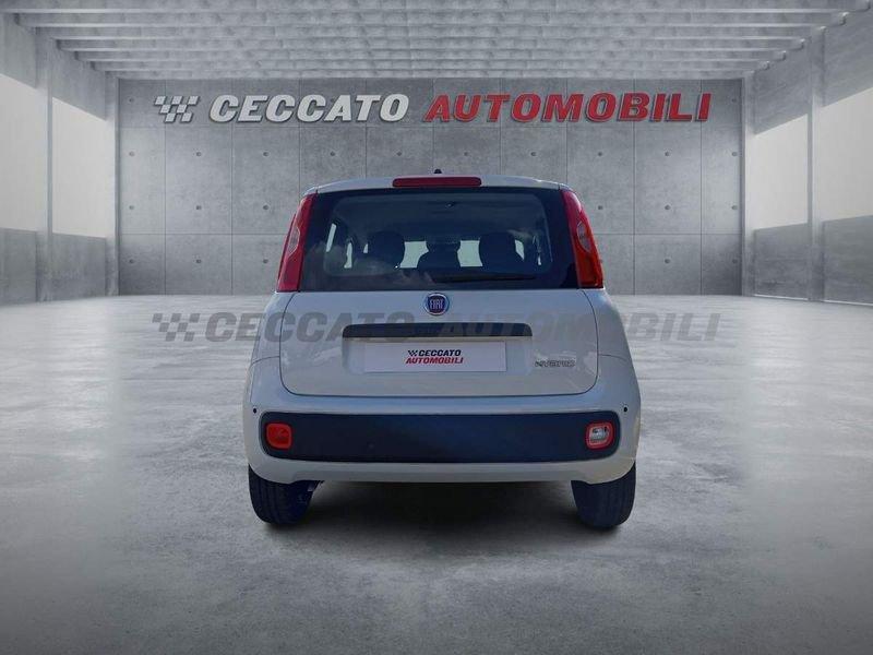 FIAT Panda Panda 1.0 firefly hybrid s&s 70cv