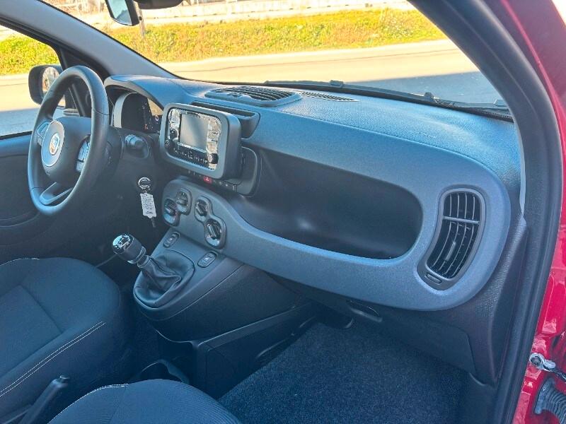 FIAT Panda 3ª serie Panda 1.0 FireFly S&S Hybrid