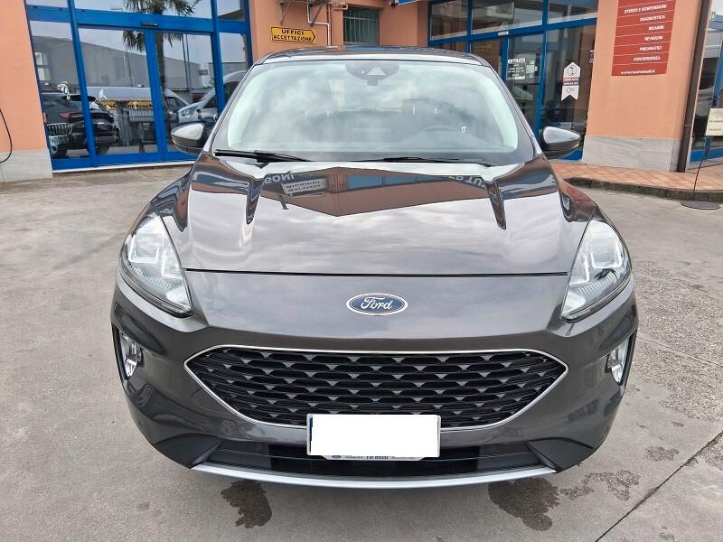 Ford Kuga 1.5 EcoBlue 120 CV aut. 2WD Connect (445)