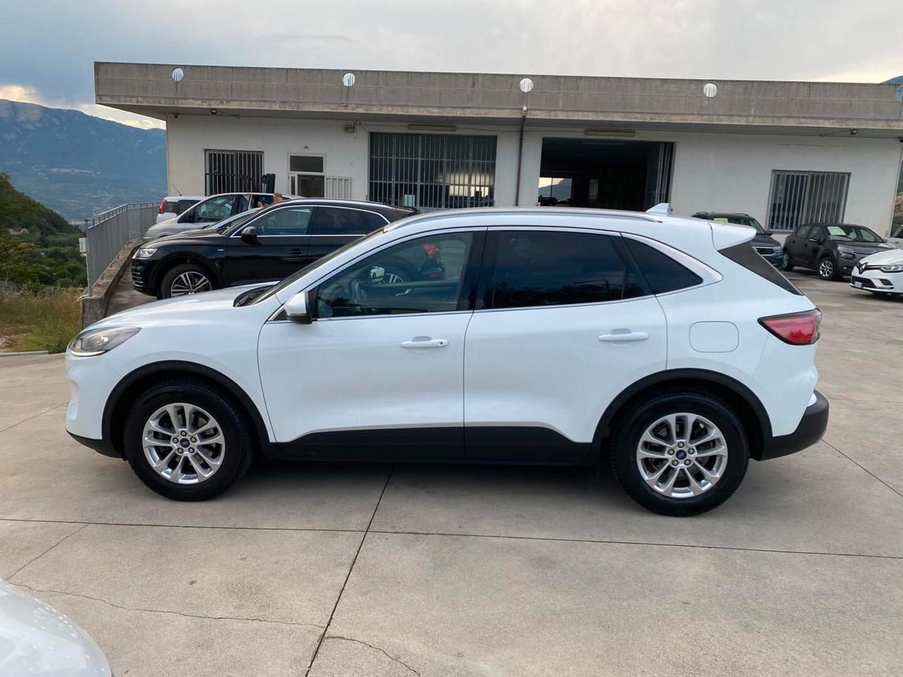 Ford Kuga 1.5 EcoBlue 120 CV 2WD Titanium 2021