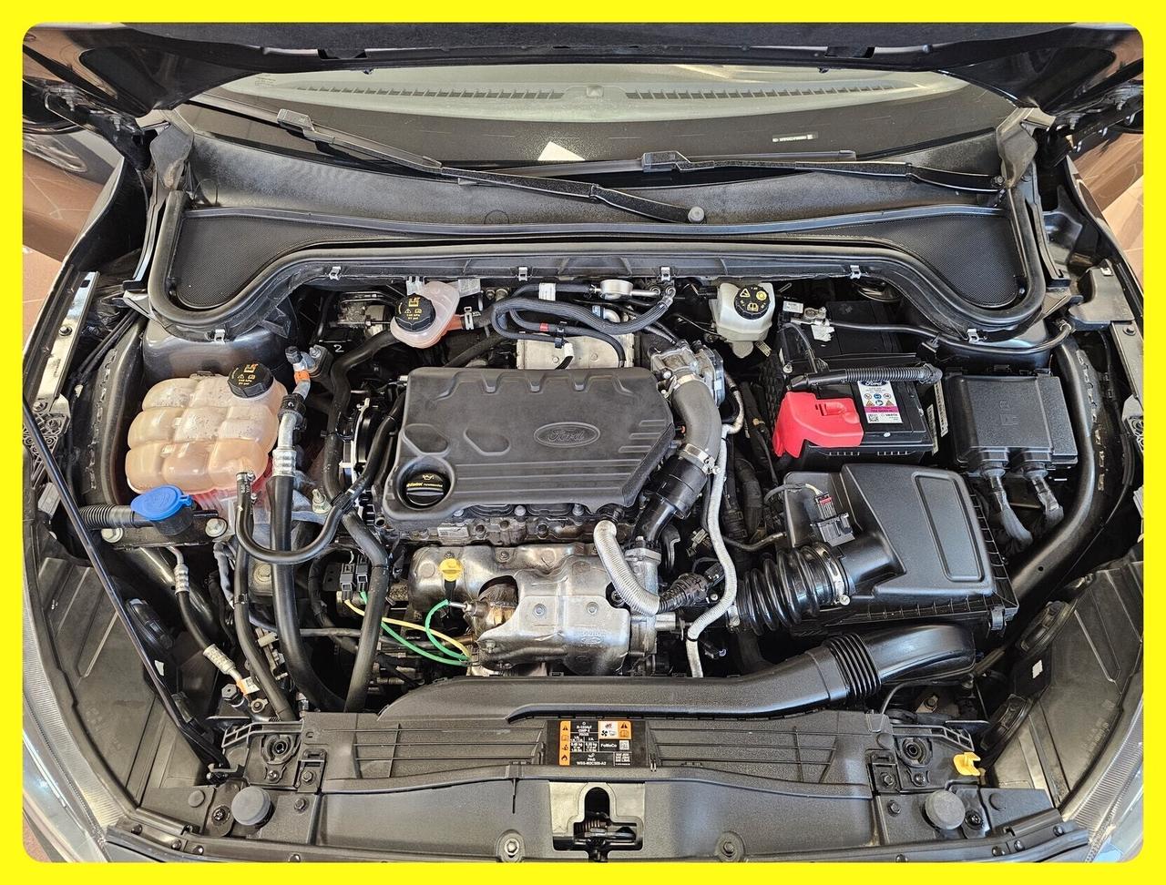 Ford Focus 1.5 EcoBlue 120 CV SW Business