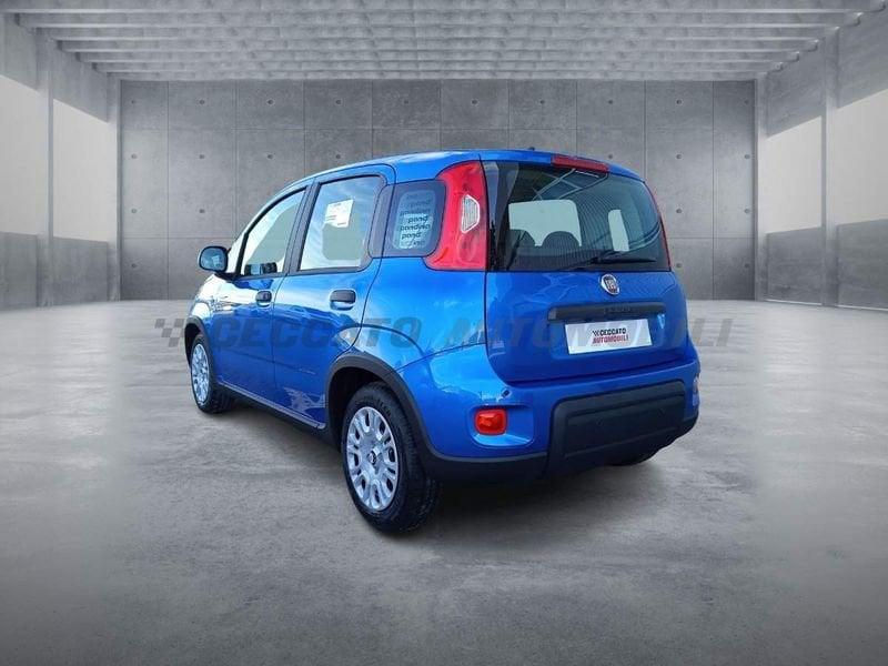 FIAT Panda 1.0 70cv Hybrid Panda