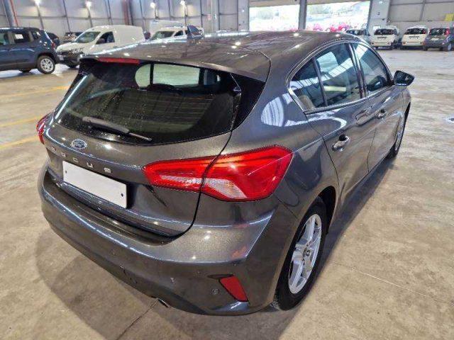 FORD Focus 1.5 EcoBlue 95 CV 5p. Business