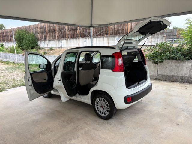 FIAT Panda 1.2 Easy EURO 6 5 POSTI OK NEOPATENTATI