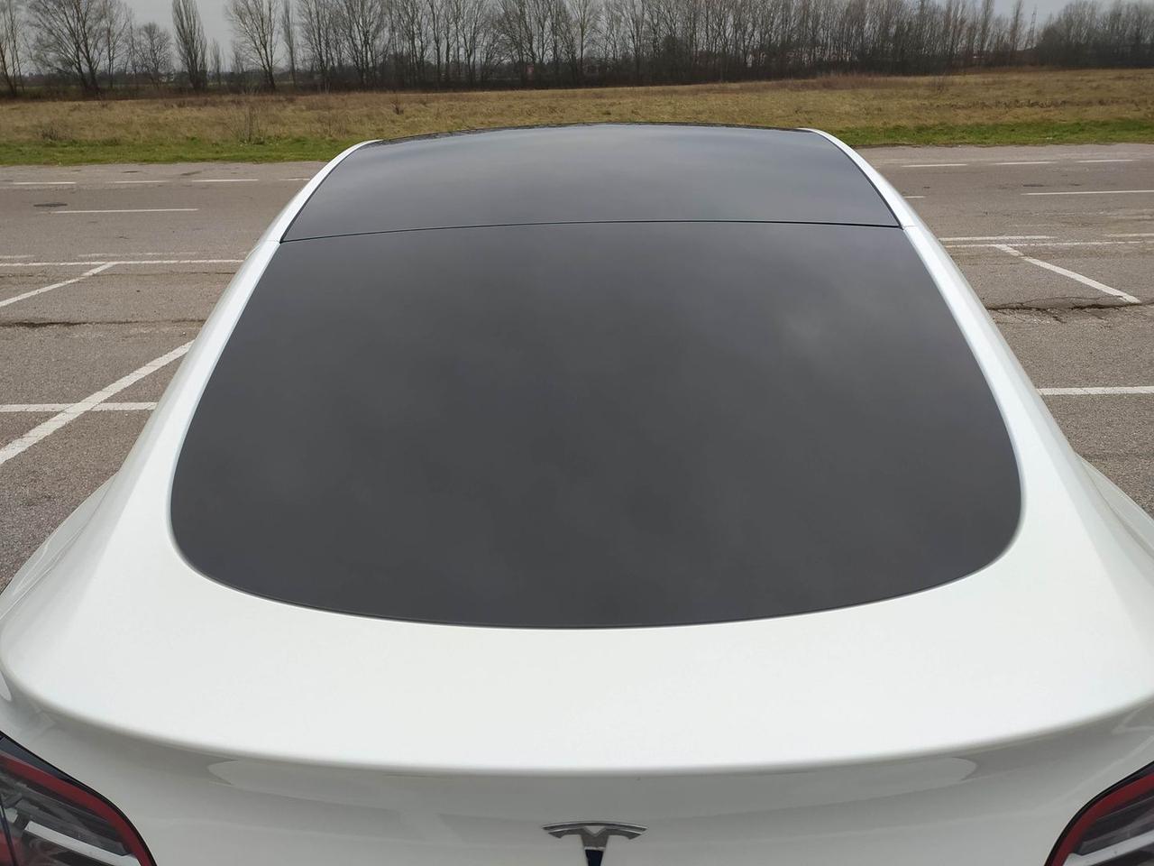 Tesla Model Y Standard Range / Standard #9113