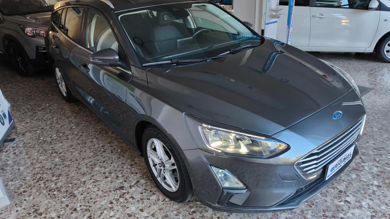 Ford Focus 1.5 EcoBlue 120 CV automatico SW Active V Co-Pilot