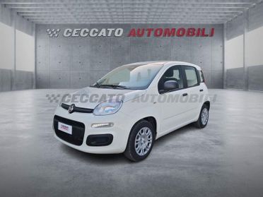 FIAT Pandina Pandina 1.0 65cv Hybrid Icon