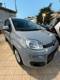 FIAT PANDA 1.2 BENZINA LOUNGE 69 cv