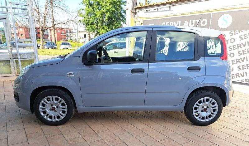 FIAT Panda Panda 1.2 Easy easypower Gpl 69cv