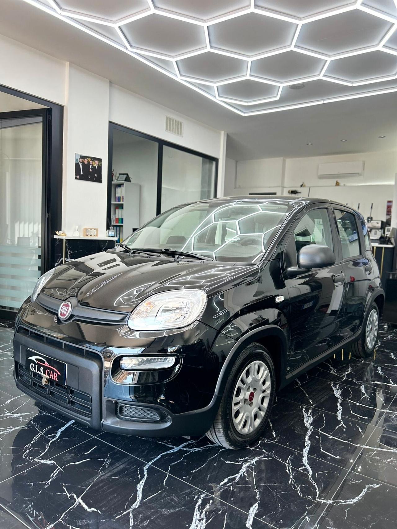 Fiat Panda 1.0 FireFly S&S Hybrid/benzina 100 cv City Cross