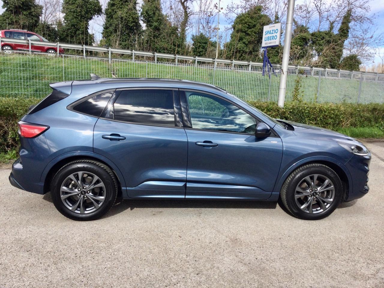 Ford Kuga 2.0 EcoBlue Turbo D 120 CV Automatico ST-Line