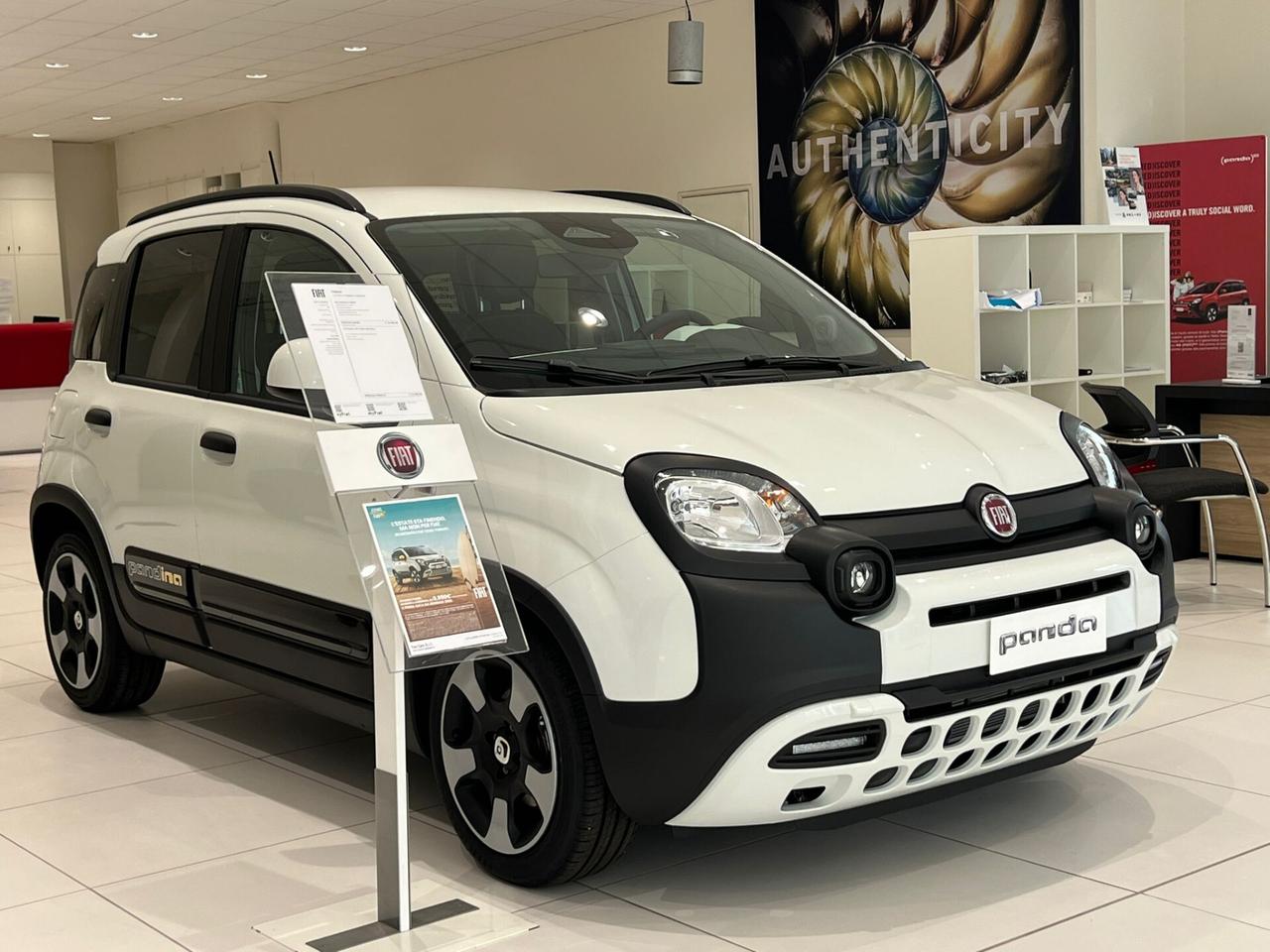 Fiat Panda PANDINA 1.0 HYBRID 70CV NUOVA 2025