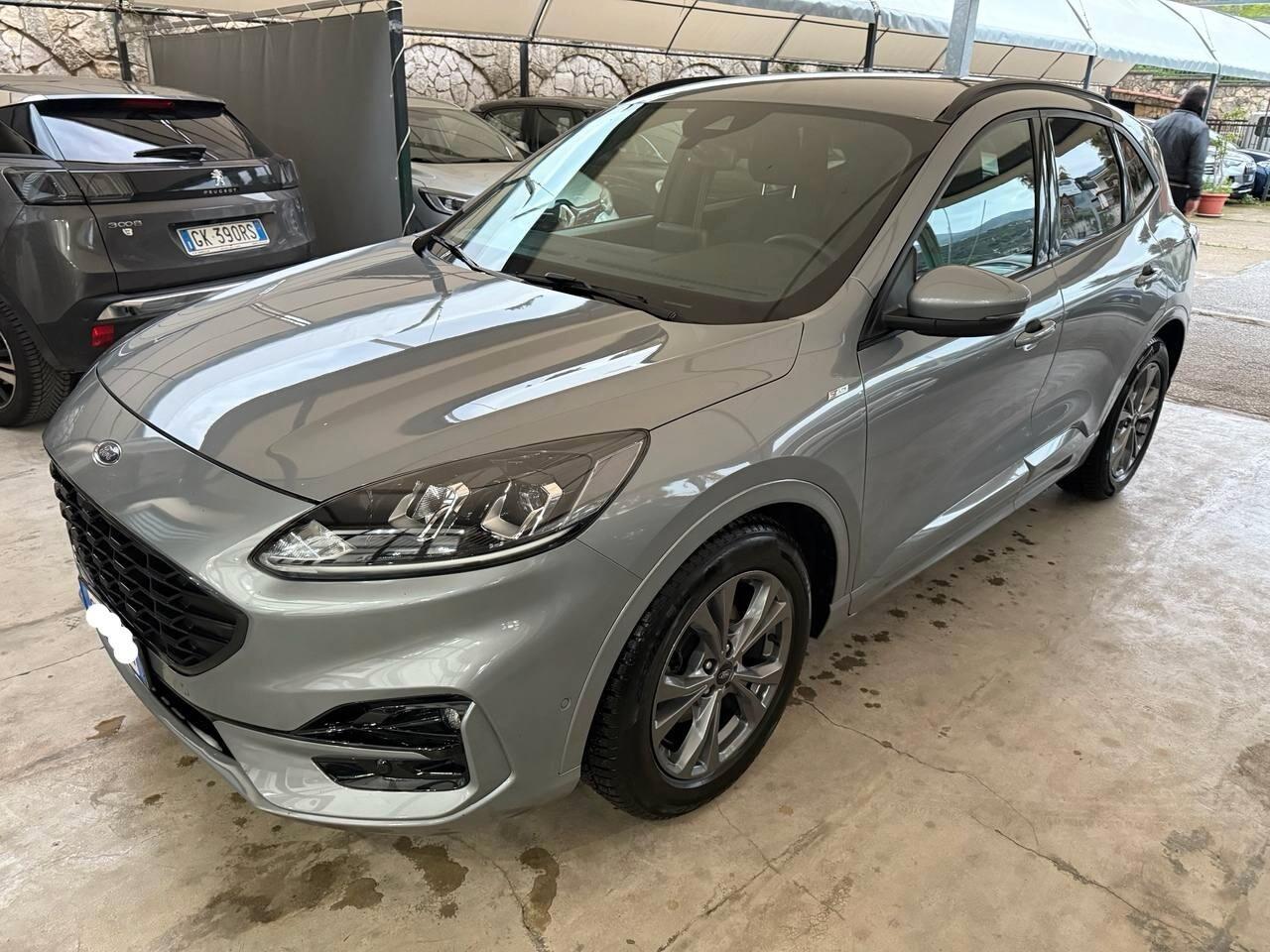 Ford Kuga 2022 1.5 EcoBlue 120 CV aut. 2WD ST-Line Design