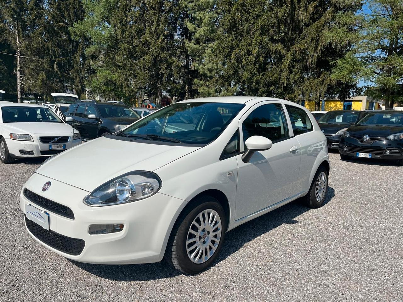 Fiat Punto 1.3 MJT II 75 CV 3 porte Street