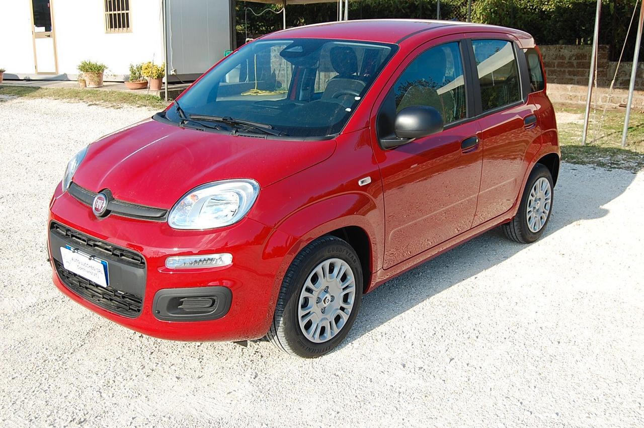 Fiat Panda 1.0 FireFly S&S Hybrid