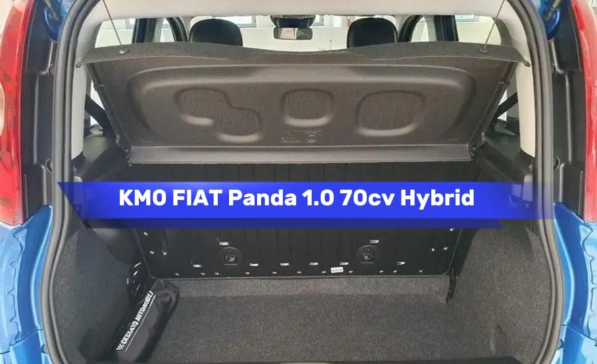 Fiat Panda 1.0 FireFly S&S Hybrid