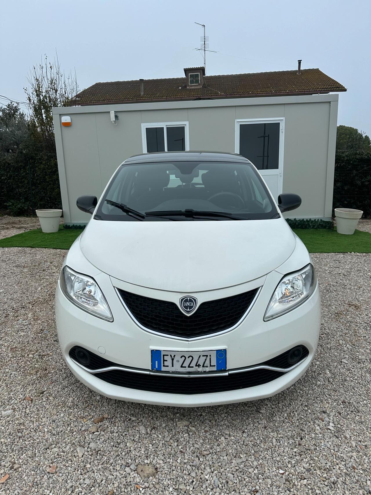 Lancia Ypsilon 1.3 MJT 16V 95 CV 5 porte S&S Elle