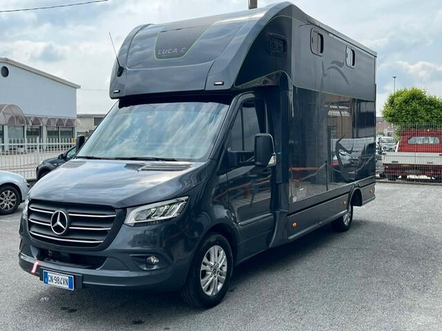 Mercedes-benz Sprinter F43/35 319 CDI RWD TA TRASPORTO CAVALLI 3 POSTI + CUCCIETTA