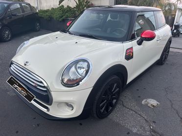 Mini 1.5 One D-2015