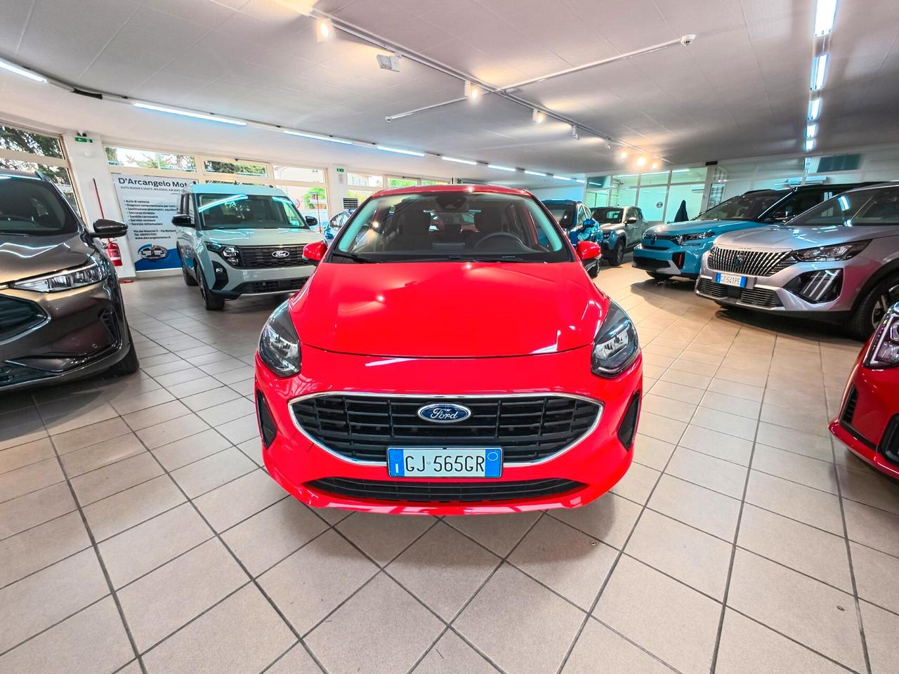 Ford Fiesta 1.1 75 CV GPL 5 porte Plus