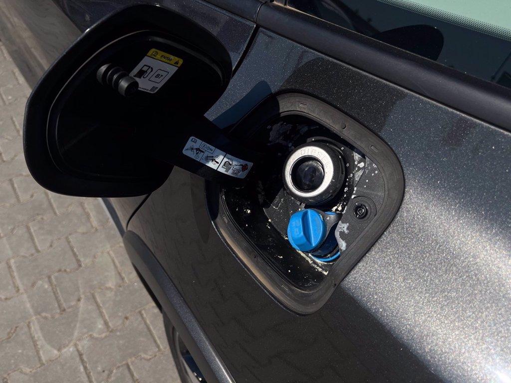 FORD Focus Active SW 1.5 ecoblue Design 120cv auto del 2022