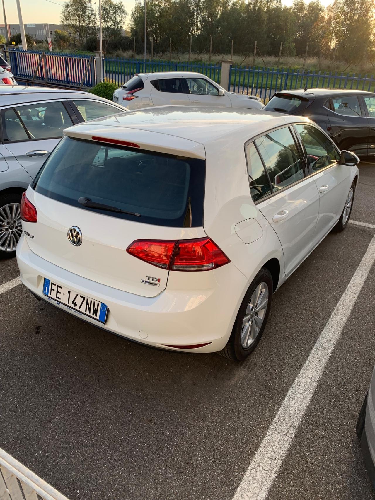 Volkswagen Golf 1.6 TDI 110 CV 5p. Business BlueMotion Technology