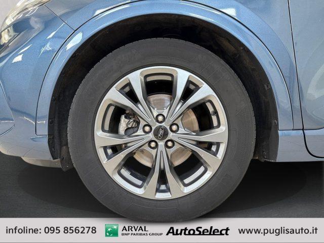 FORD Kuga 1.5 EcoBlue 120 CV 2WD ST-Line X