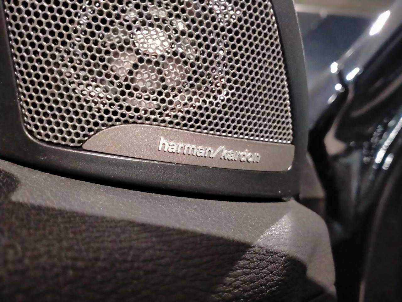 BMW X1 SDRIVE 18D XLINE/BLACK LINE/PACK MSPORT HARMAN KARDON