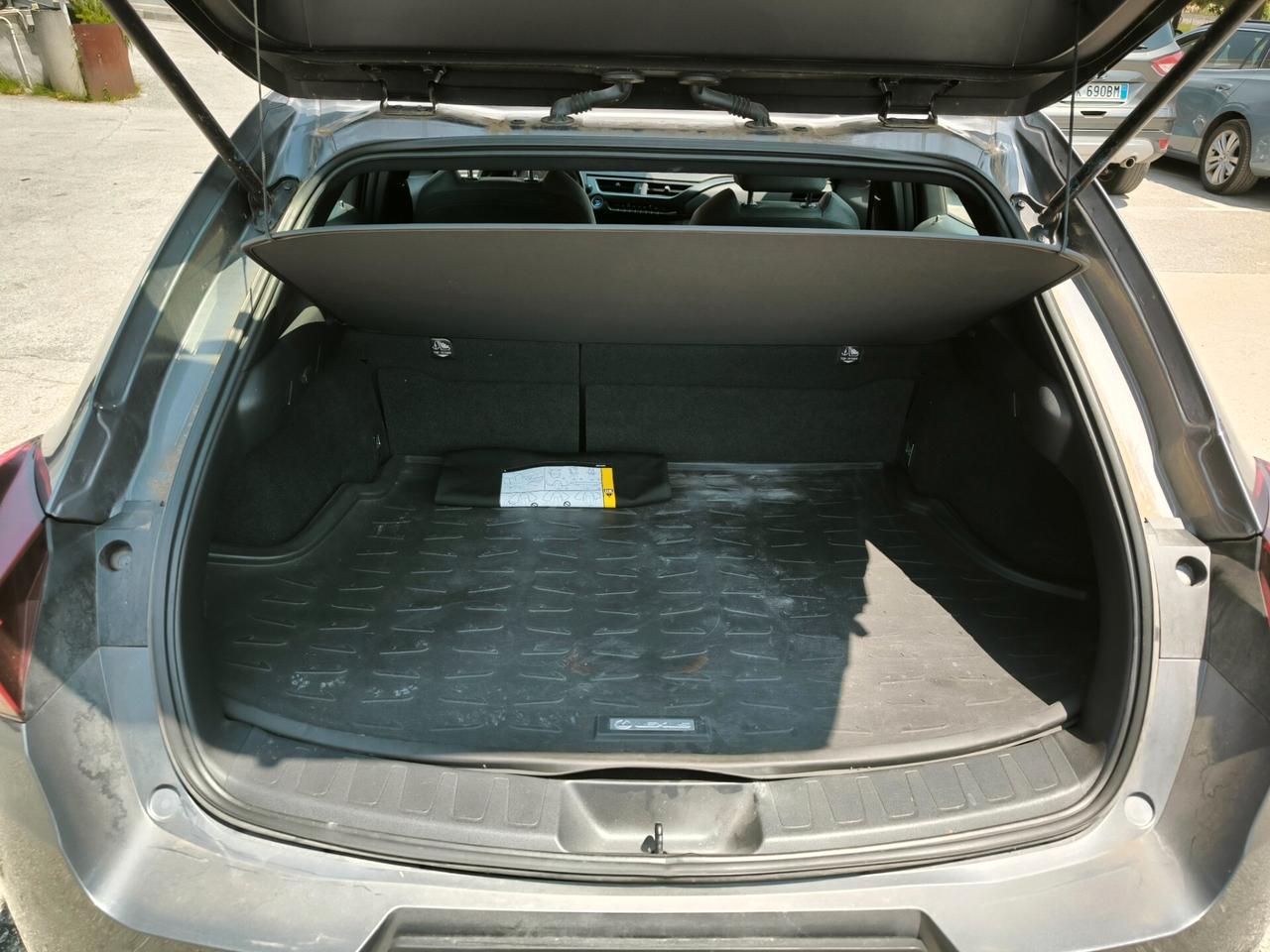 Lexus UX UX Hybrid Business