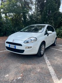 ADATTA PER NEOPATENTATI Fiat Punto 1.2 8V 5 porte Lounge