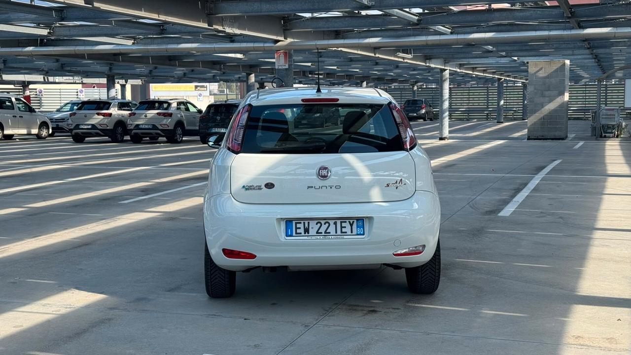 Fiat Punto 1.4 8V 5 porte Natural Power Lounge