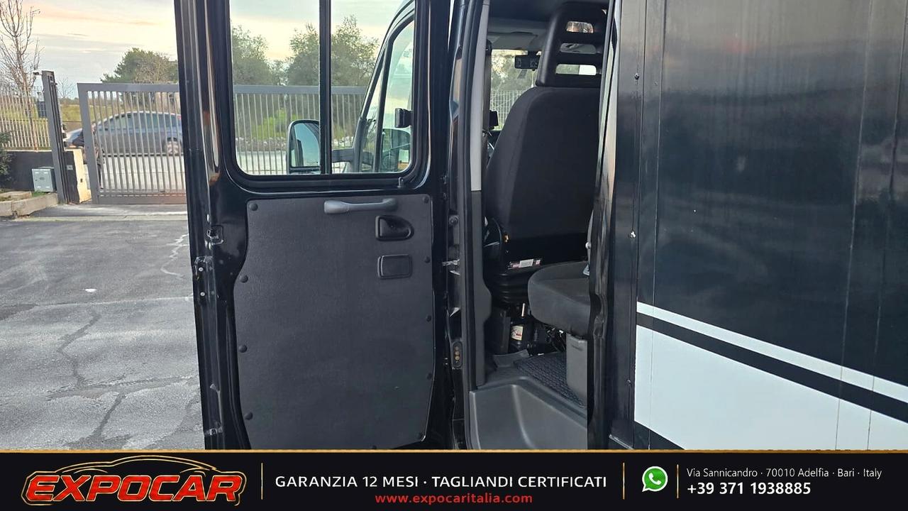 Iveco Daily - Trasporto Cavalli