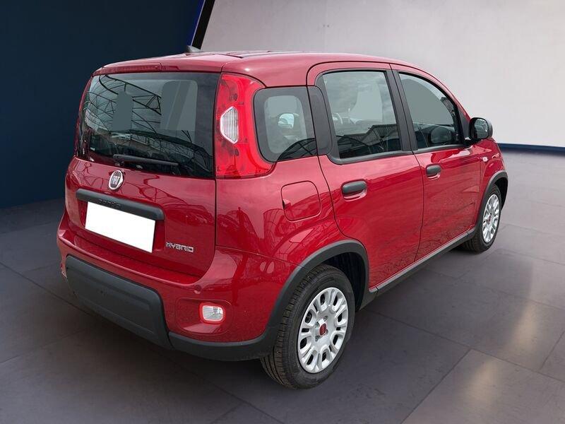 FIAT Panda My24 1.0 70cv Hybrid Panda